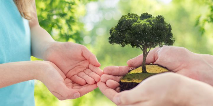 Two hands holding a patch of earth with a tree, symbolizing care for the environment.