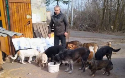 Paws of Hope