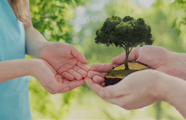 Two pairs of hands cradle a small mound of soil with a tree growing from it, symbolizing care for nature and environmental protection.