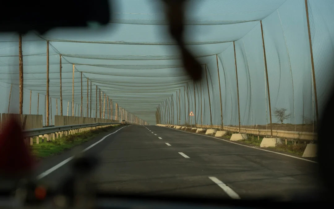 A view from inside a vehicle of an empty road covered by netting, supported by poles on both sides under a clear sky.