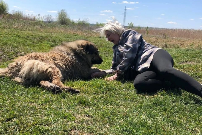 abandoned pets in ukraine given shelter by the hope pets program