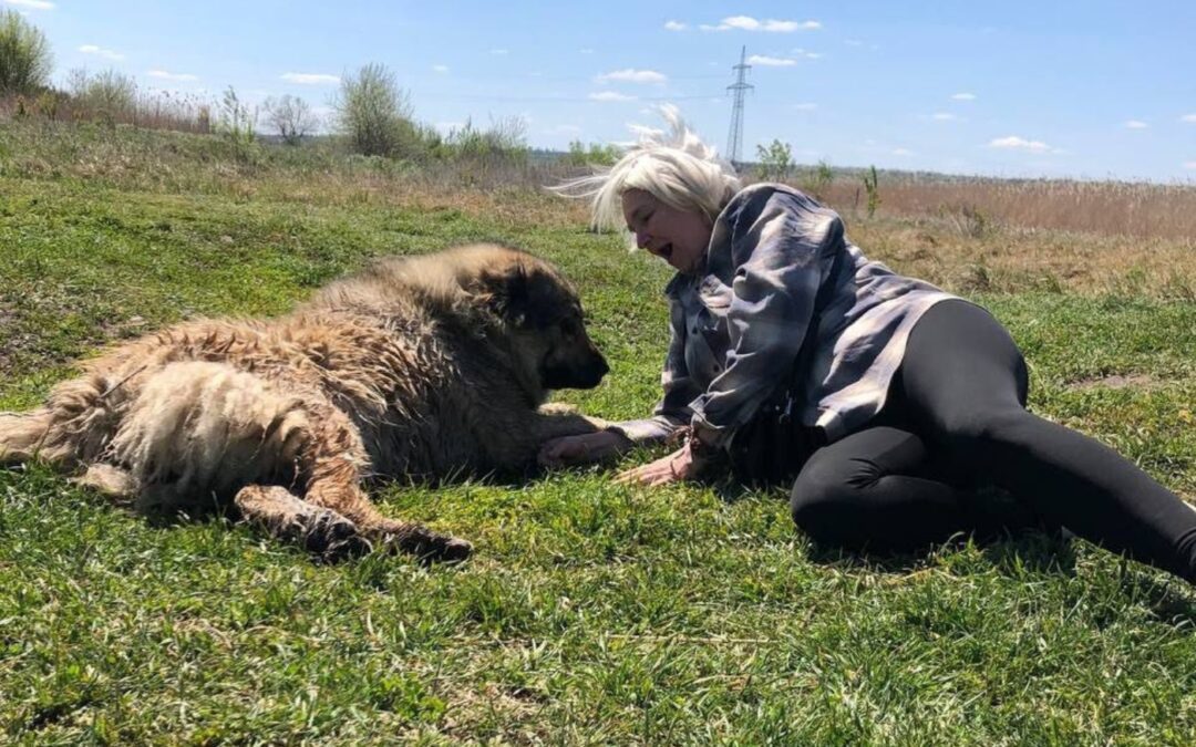 A woman lies on grass, facing a large, fluffy dog. They appear relaxed outdoors on a clear, sunny day—an image reminiscent of children’s art therapy sessions for those affected by the Ukraine war.