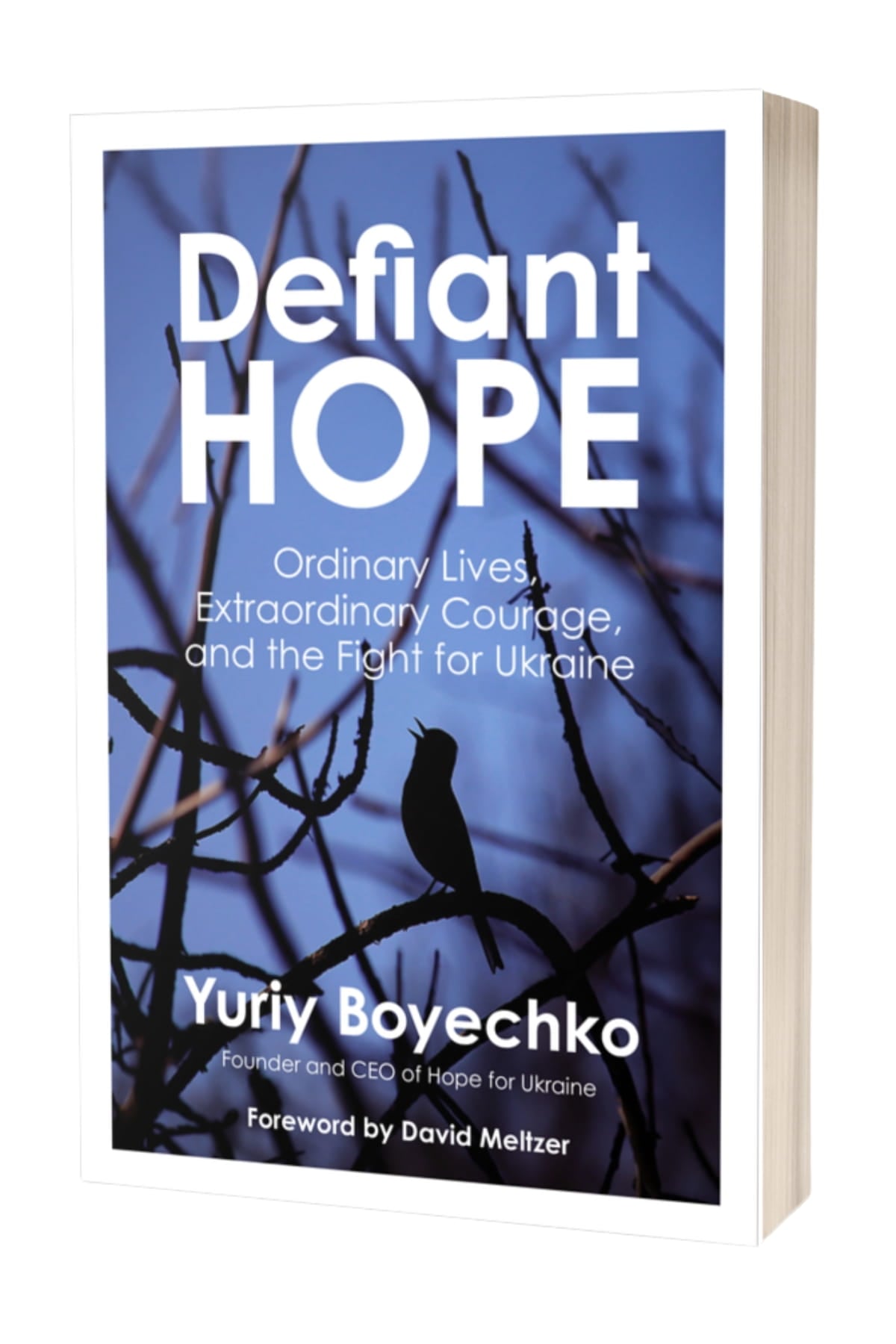 Defiant Hope book cover