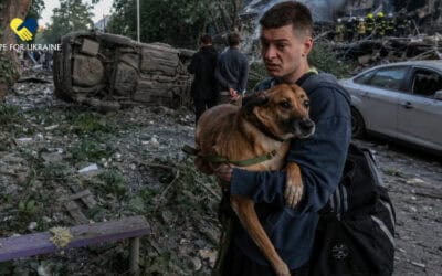 This Dog Survived the Blast. Now He Needs More Than Rescue.