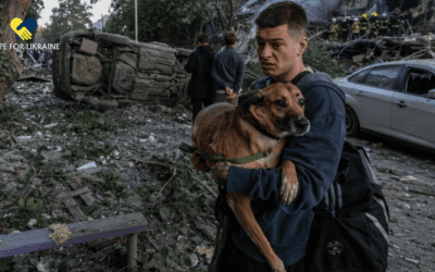 This Dog Survived the Blast. Now He Needs More Than Rescue.